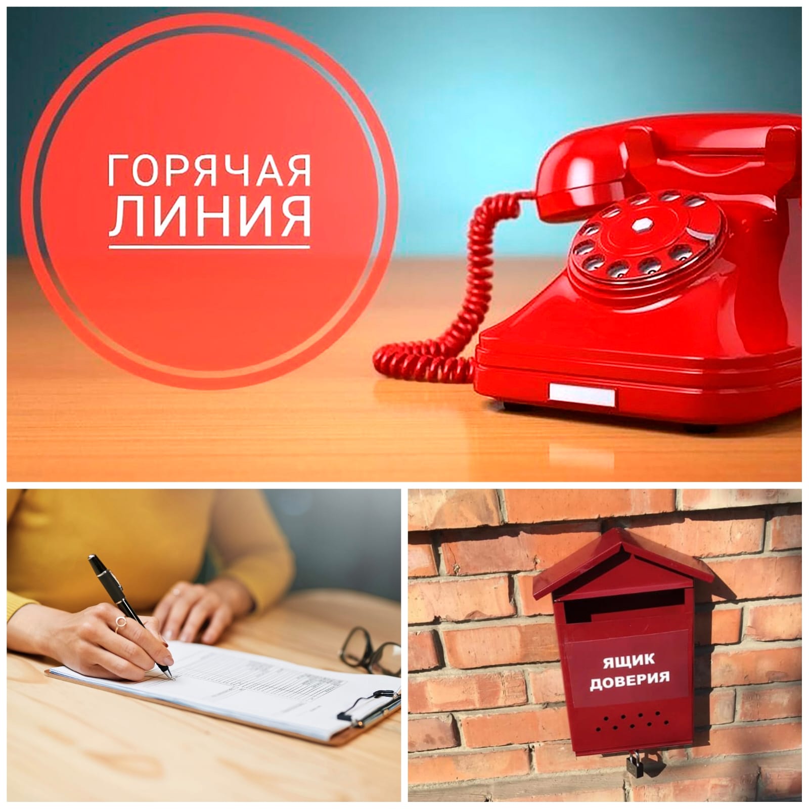 Сегодня активно ведется работа по легализации «теневой» занятости и скрытых форм оплаты труда.