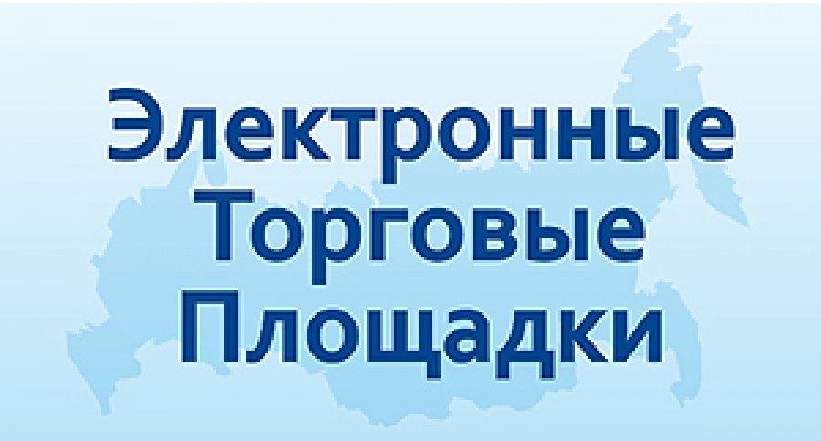 «Содействие в размещении на электронных торговых площадках»..