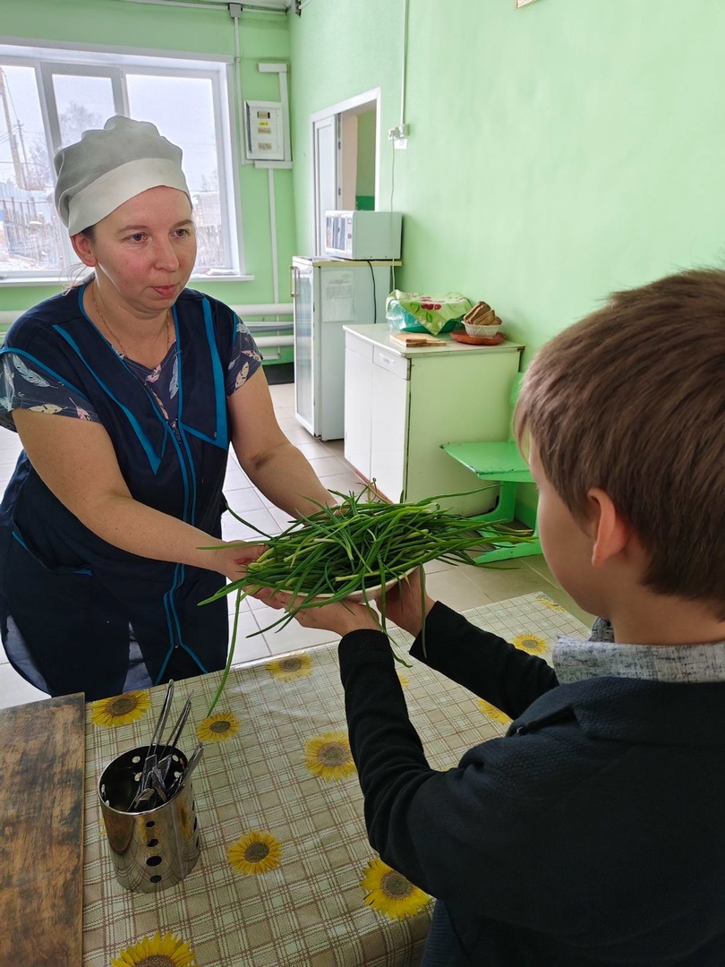 Ребята из школы села Озерное вырастили на уроке труда &quot;лук на перо&quot;.