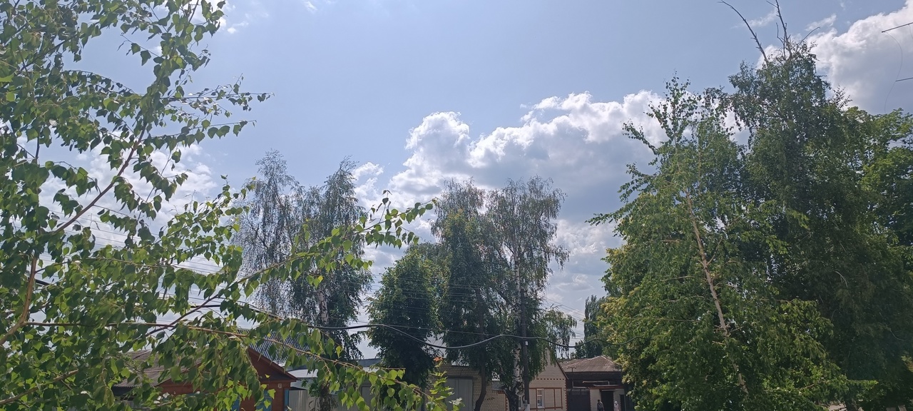 Опасные метеорологические явления (оранжевый уровень опасности):.