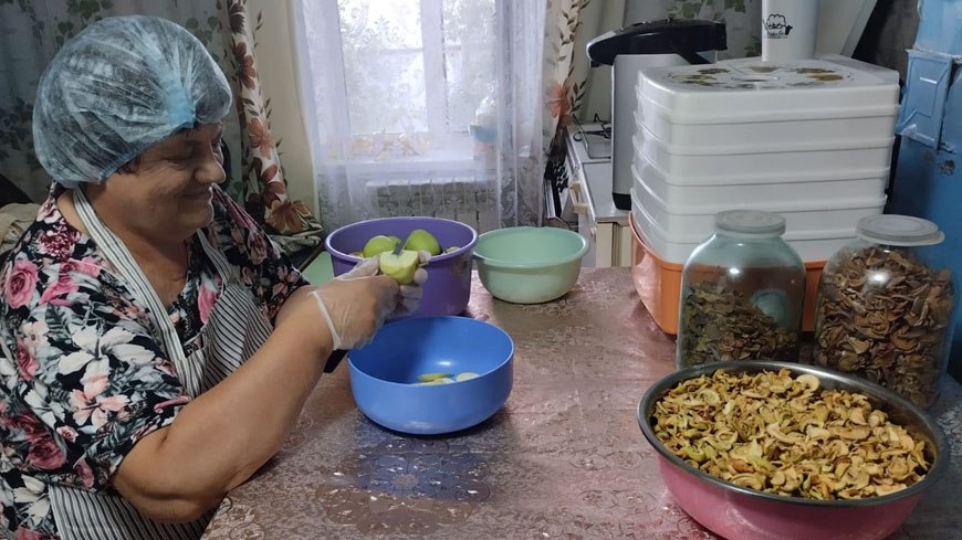 В Даниловском сельском доме культуры сушат яблоки на фронт.